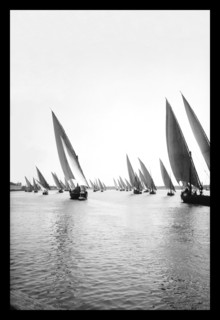 Fleet of Native Boats on the Nile