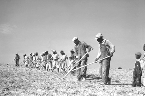 Dave Lewis and his 575 Acre Farm 1940
