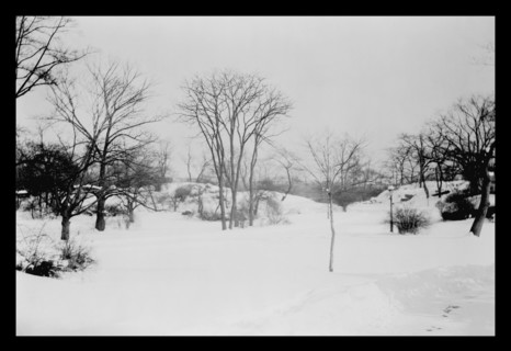 First Snow of the Season in Central Park