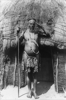 Zulu Chief