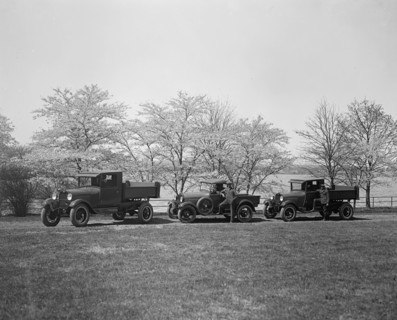 Vehicle Sales