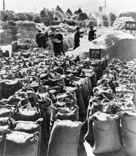The chienchangpu brigade of the shanchengzu commune in penhse county, liaoning province having reaped a rich wheat harvest, china, early 1960s.