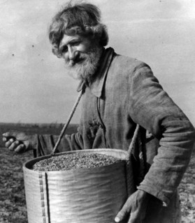 Peasant in the vyborg region, pre-revolution.