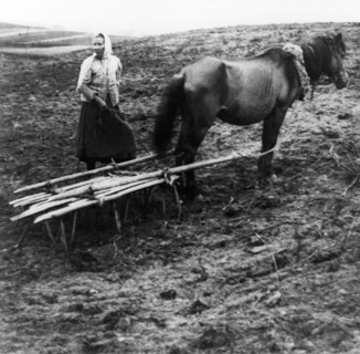 A peasant woman with horse tilling the soil on a farm in voronovo village on the volga in pre-revolutionary russia, 1900.