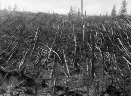 Siberian taiga forest that was flattened by the blast from the tunguska meteorite near where the meteorite fell in 1908, this picture was taken during professor leonid kulik's 1938 expedition to inves...