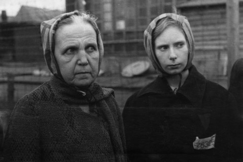 This 13-year girl jadwiga homicka, of warsaw, and stephanie soltes, of cologne, were arrested, together with hundreds of other women and thrown into the pomerania camp for political prisoners.