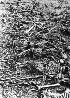 German death factory near lublin,  in majdanek hitlerites built a concentration camp, in which they tortured to death hundreds of thousands of civilians, war prisoners and political prisoners - poles,...
