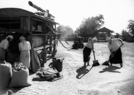 Women drying grain on a kolkhoz (collective farm) in the soviet union, 1930s.