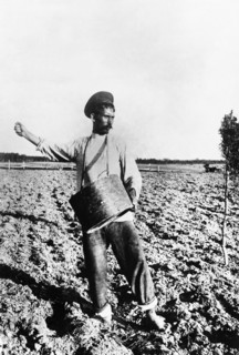 A peasant sowing grain in the saratov region of pre-revolutionary russia, early 1900s.