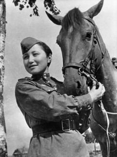 World war 2, former dancer asipa ismailova, is now a horse rider with the panfilov division, she and her horse have carried many wounded men from battlefields to hospitals.