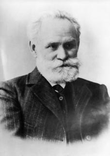 Portrait of ivan pavlov in the 1920s.