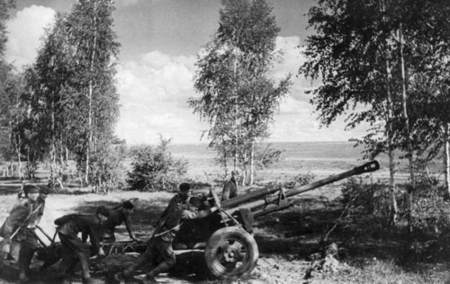 World war 2, august 1943, a red army gun crew pulling their gun to the firing position.