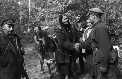 World war 2, collective farmer maria korshun bidding fairwell to fellow partisans as she leaves for her native village, the detachment gave her a cow seized from the germans to replace the one that wa...