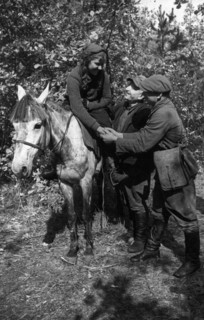 World war 2, in the very first days of the german occupation, dussya davidovich joined a guerilla detachment as a medical nurse, when her detachment merged into the red army the girl asked command for...