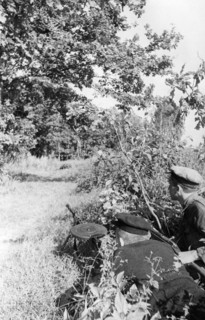 World war 2, ukrainian partisans waiting in ambush, october 1943.