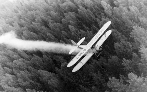 A polikarpov po-2 (u-2) biplane spraying pesticides over forests, late 1940s.
