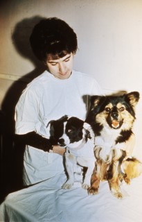 Soviet scientist with two dogs that are being used for research of space travel, 1966.