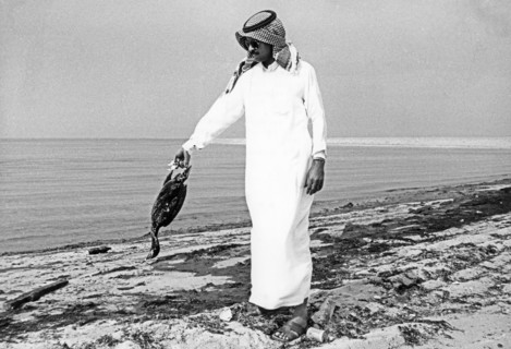A kuwaiti resident holding a dead cormorant along the oily shore of the persian gulf, the war in the persian gulf caused huge damage to the local environment and the area is on the verge of ecological...