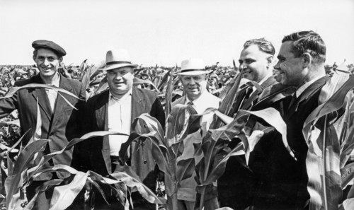 Nikita khrushchev in a maize field of acollective farm in the orel region, 1962.