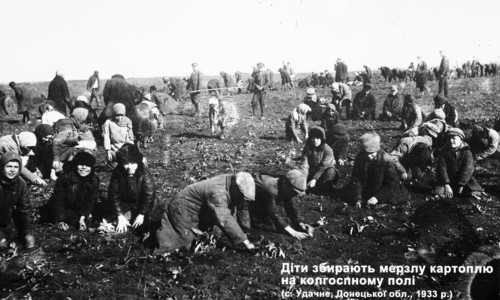 Children collect frozen potatoes in the collective farm's field, 1933' is on view at the exhibition 'declassified memory' in kiev, where documents from the archives of the ukrainian security service o...