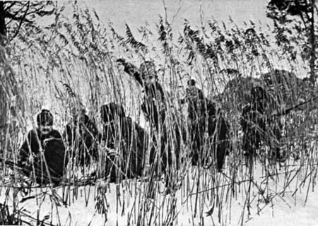 World war one, russian scouts, 1915.