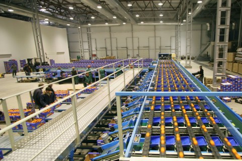 Packaging of the citrus plants at the abkhaz fruit company in the pitsunda resort area,the joint russian-abkhaz enterprise is fitted with modern spanish facilities and practices in treating, sorting a...