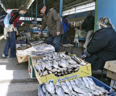 Astrakhan, russia, fish for sale in selenskie isady market, april 26, 2007.