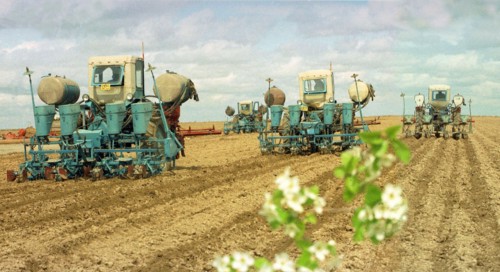 Tajikistan, cotton sowing, 3/99.