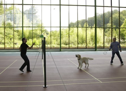 Sochi, russia, august 14, 2009, prime minister of russia vladimir putin and russian president dmitry medvedev (l) play badminton, as medvedev's golden retriever aldo runs around, after a working meeti...