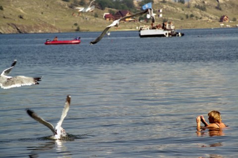 Irkutsk region, russia, a woman swimming in lake baikal, the world's deepest lake, august 2005.
