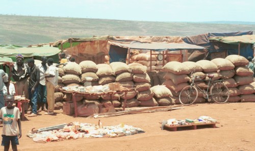 Rice from a delivery of humanitarian aid to a refugee camp in tanzania, september 1, 1994.