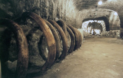 A view of a gallery with mammoth remains pictured at the improvised ice museum french traveller and businessman bernard buigues has set up in the village of khatanga were he collects remains of prehis...