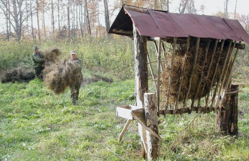 Waterfowl hunting in the southern urals, chelyabinsk region, russia.