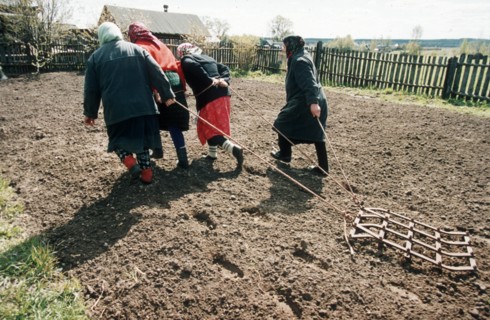 Nizhny novgorod region 6/2000, eldery women cultivating their personal plots without horse or tractor.