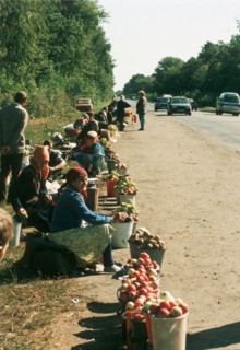 Economic crises: farmers selling their fruit and vegetables along the highway in the kursk region october 1998.