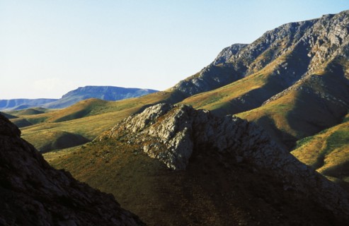 Eastern mountain meadows in kazakhstan.