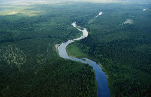 The pechora river running through the taiga in the komi region of siberia, 1990s.