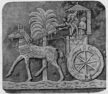 Real Chariot