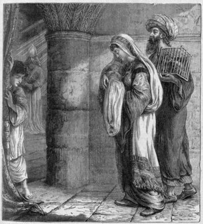 The purification's offer