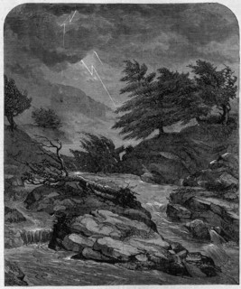 Religion The Holy Bible. The voice of the LORD breaks the cedars (XXXVIII 5)