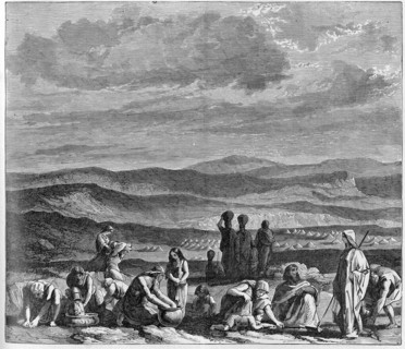 Religion The Holy Bible. Manna