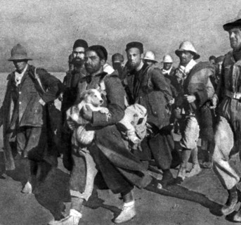 WWII World War II, the war in North Africa Italian prisoners