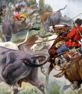 World War One 1914  1918 War on the Eastern front