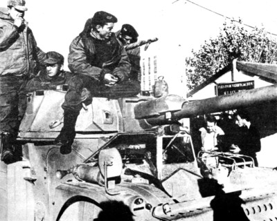 Falklands War Malvinas 1982 Argentina Infantry
