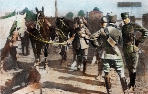 World War One 1915 1918 Italy at war 1915 Isonzo offensive