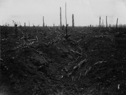 Battle of Delville Wood.