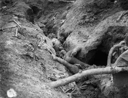 Western Front, Germany - France, 1916.