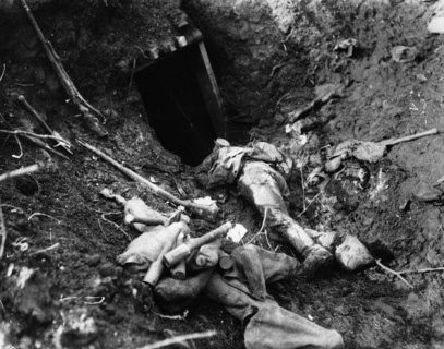 Western Front, Germany - France, 1916.