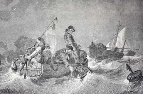 People From The German Island Helgoland Collecting Goods From The Sea