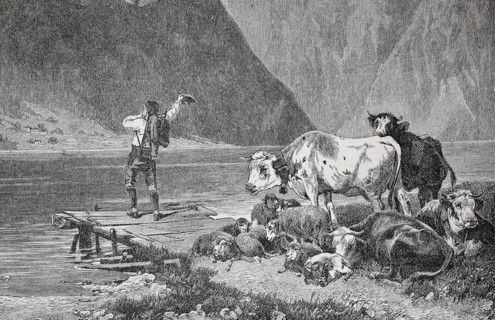 Cowherd Is Waiting For The Ferryman